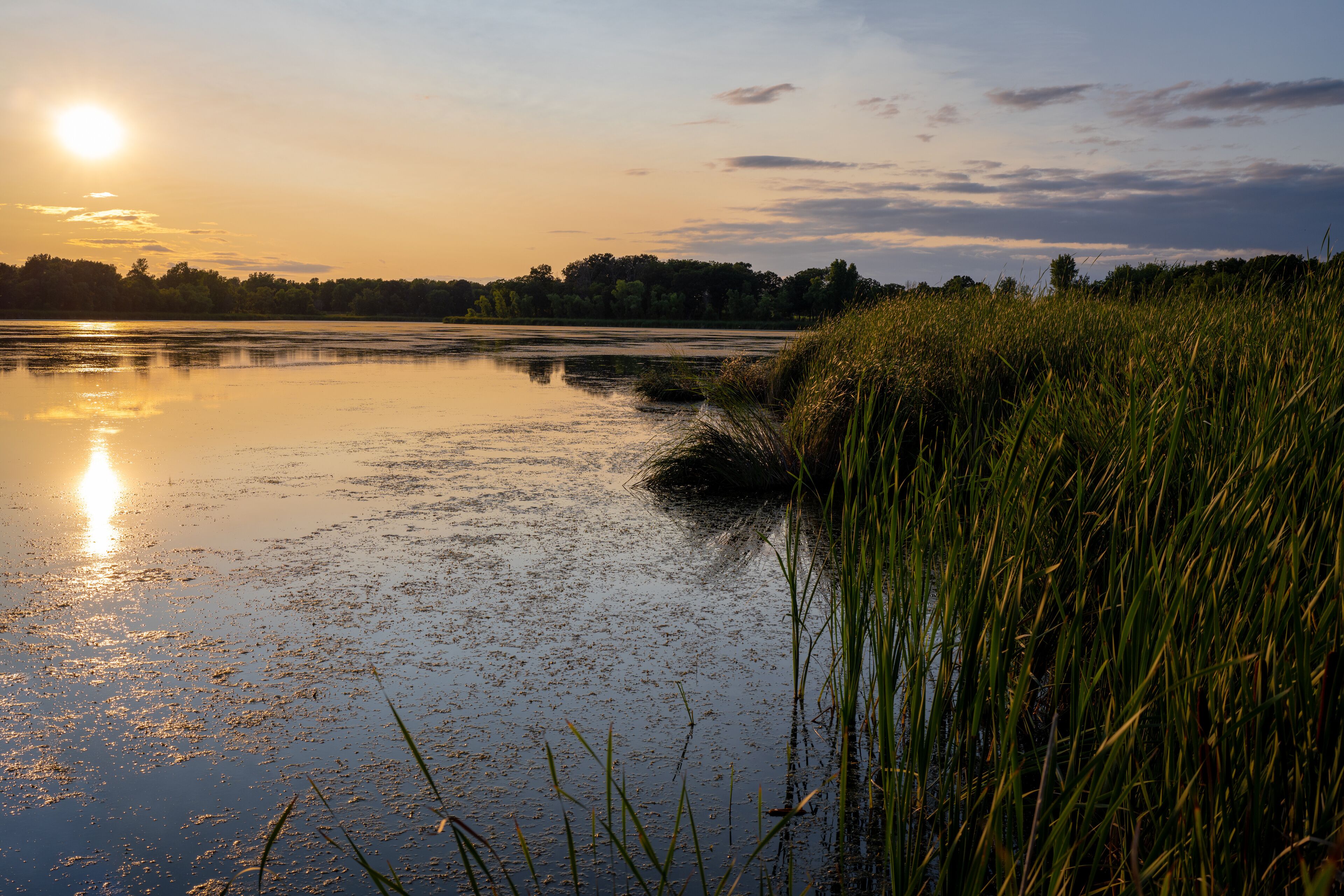 warm and cozy sunset over a wetland lake