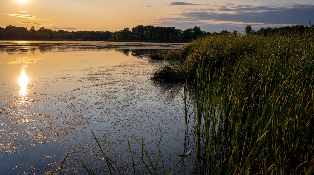 warm and cozy sunset over a wetland lake
