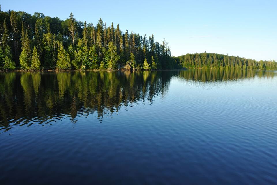 A calm lake with dense forest reflecting on the water.