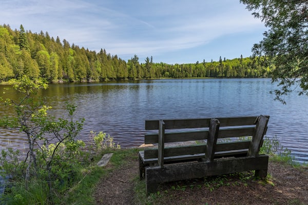 Lake Benson / A small scenic lake in northern Minnesota.