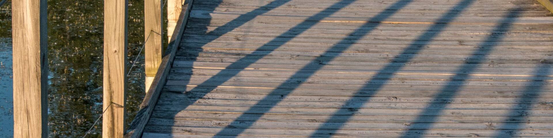 A wooden boardwalk curving along a body of water, surrounded by dense greenery.