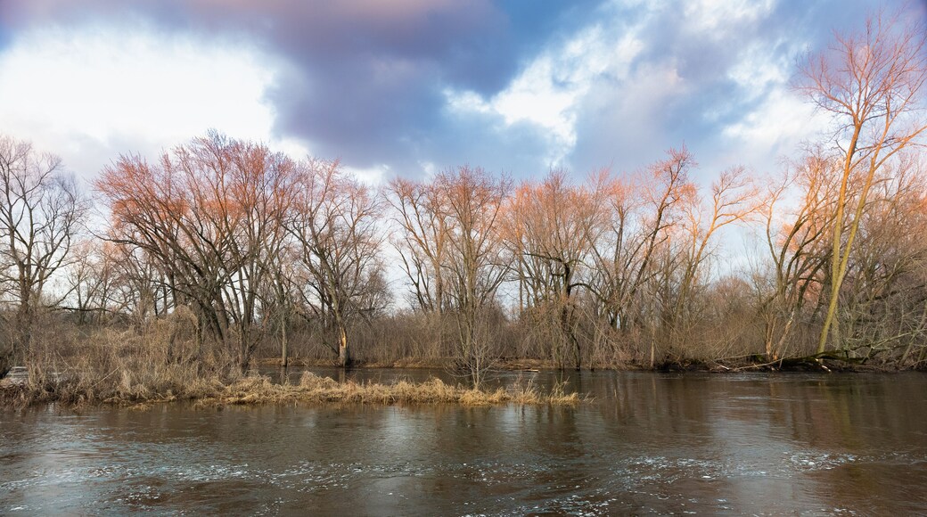 Mississippi Oaks Park