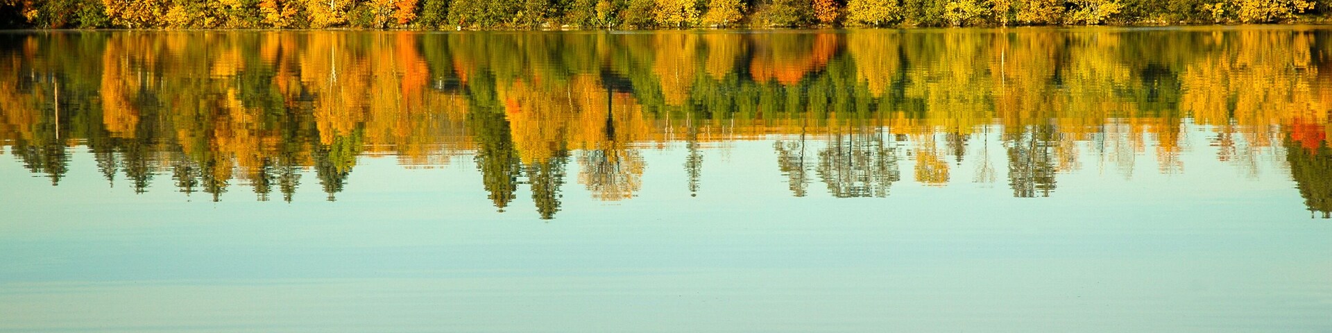 autumn trees reflection in lake