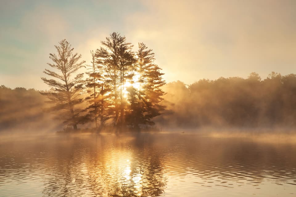 Un lac paisible, bordé d’arbres dont le feuillage reflète la lumière du soleil, le tout enveloppé d’un voile de brume.