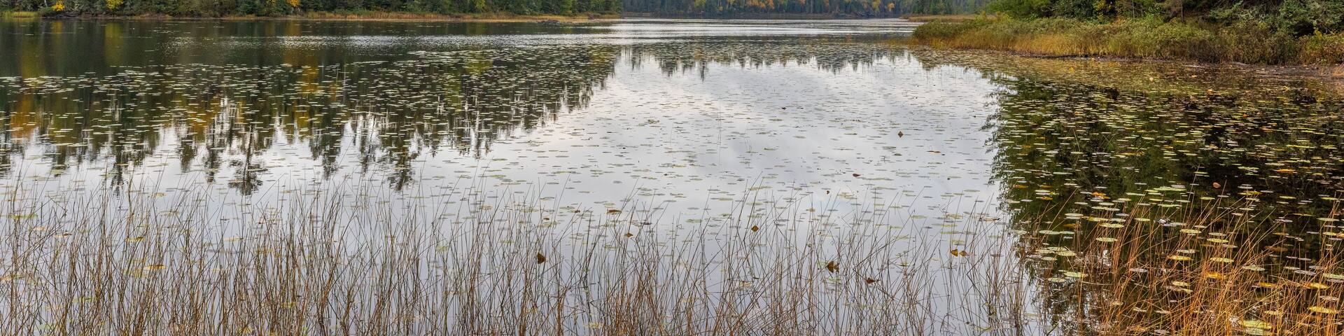 A calm lake surrounded by dense forest with autumn-colored trees.