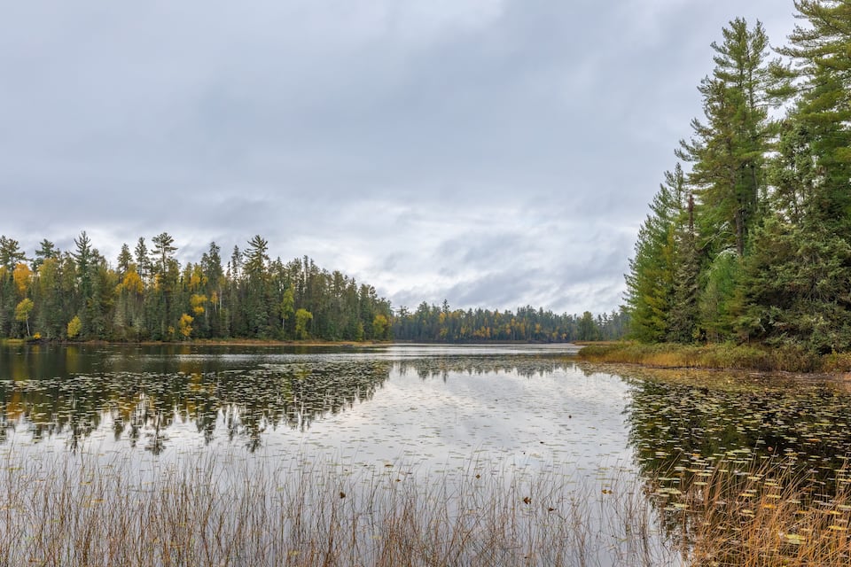 A calm lake surrounded by dense forest with autumn-colored trees.