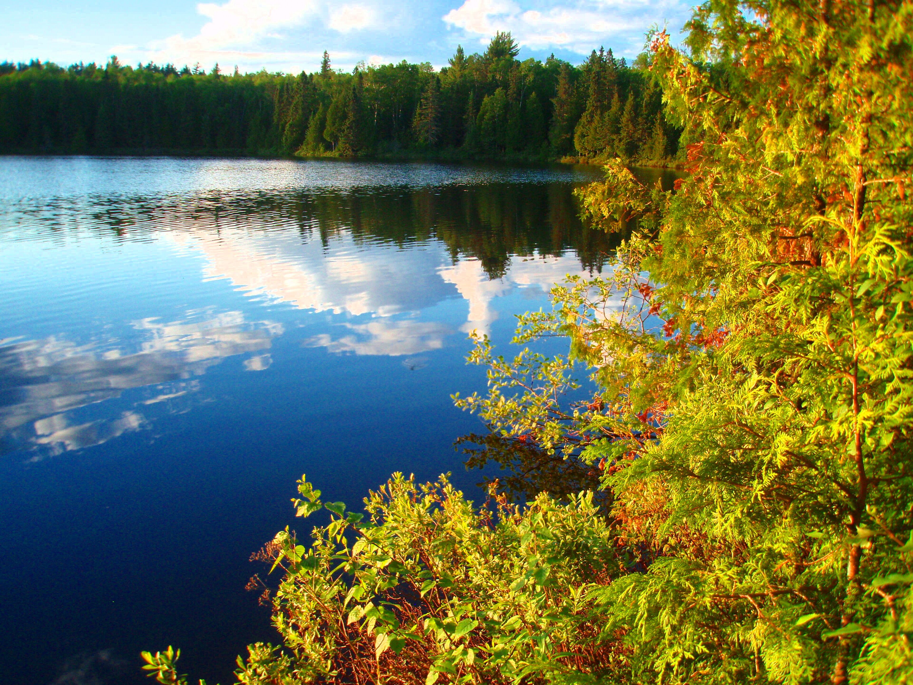 Reflections on a remote pond in Finland State Forest, Minnesota.