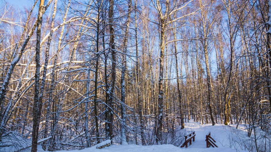 โฟร์ ซีซั่นส์ พาร์ค