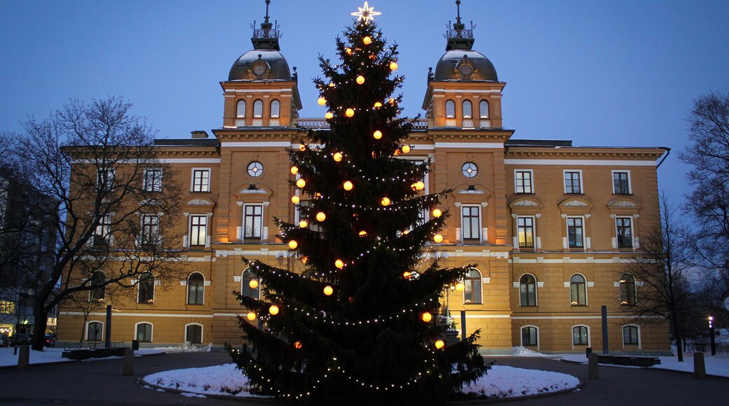 Oulu city hall with pine tree view by winter, Finland