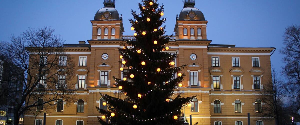 Oulu city hall with pine tree view by winter, Finland