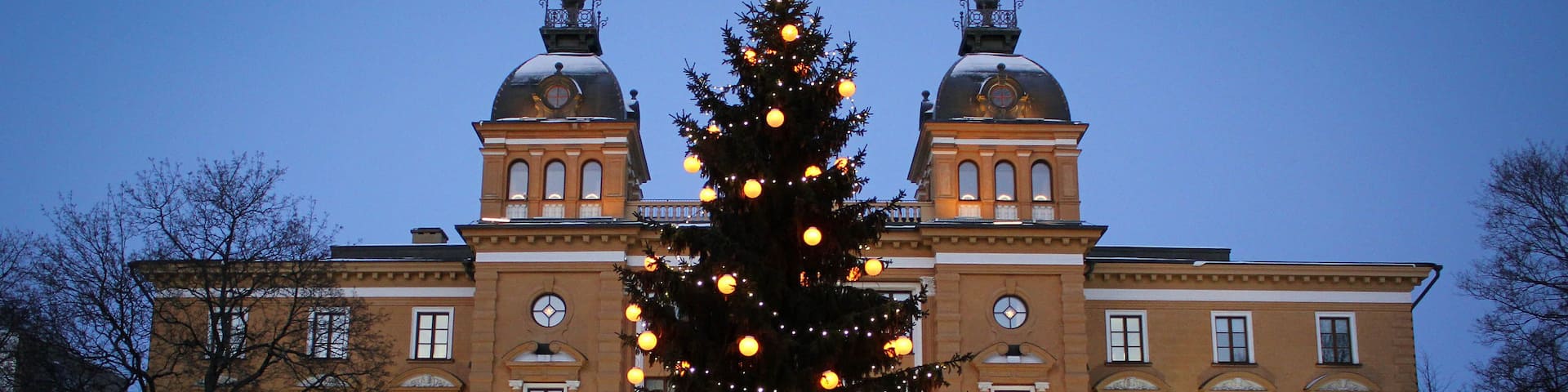 A large Christmas tree in front of a historic building with two domes.
