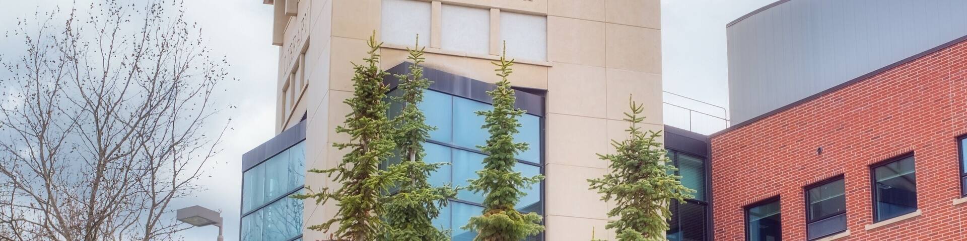 A library with a clock tower, surrounded by evergreen trees and a circular flower bed.