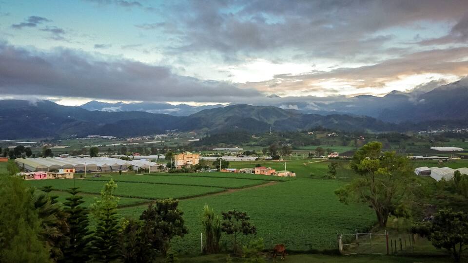 Constanza DR