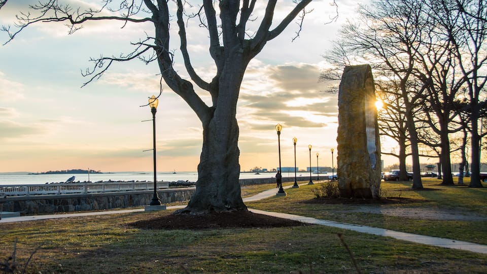 A large tree, a stone monument, and a waterfront path.