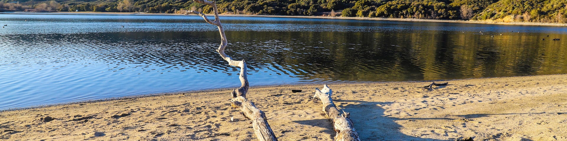a long piece of a downed tree on the beach with gorgeous still lake water and lush green mountain ranges with blue sky at Silverwood Lake State Recreation Area in Hesperia California USA