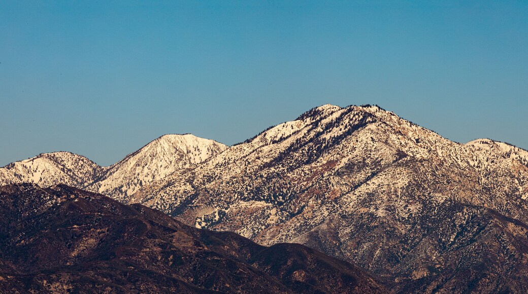 Acres Vista Montaña