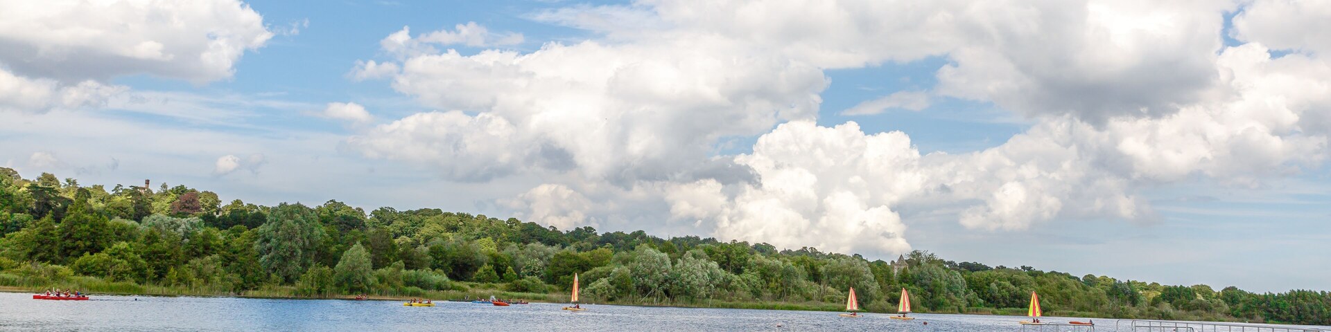 Um lago com patos, margem gramada e uma colina distante coberta de árvores.