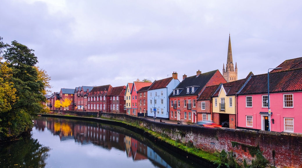 Norwich