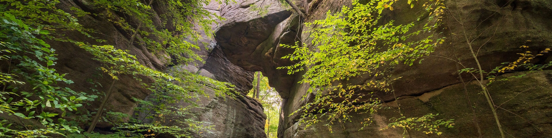 Rock City Park Olean New York, Giant Rock Formations and Scenic Overlook
