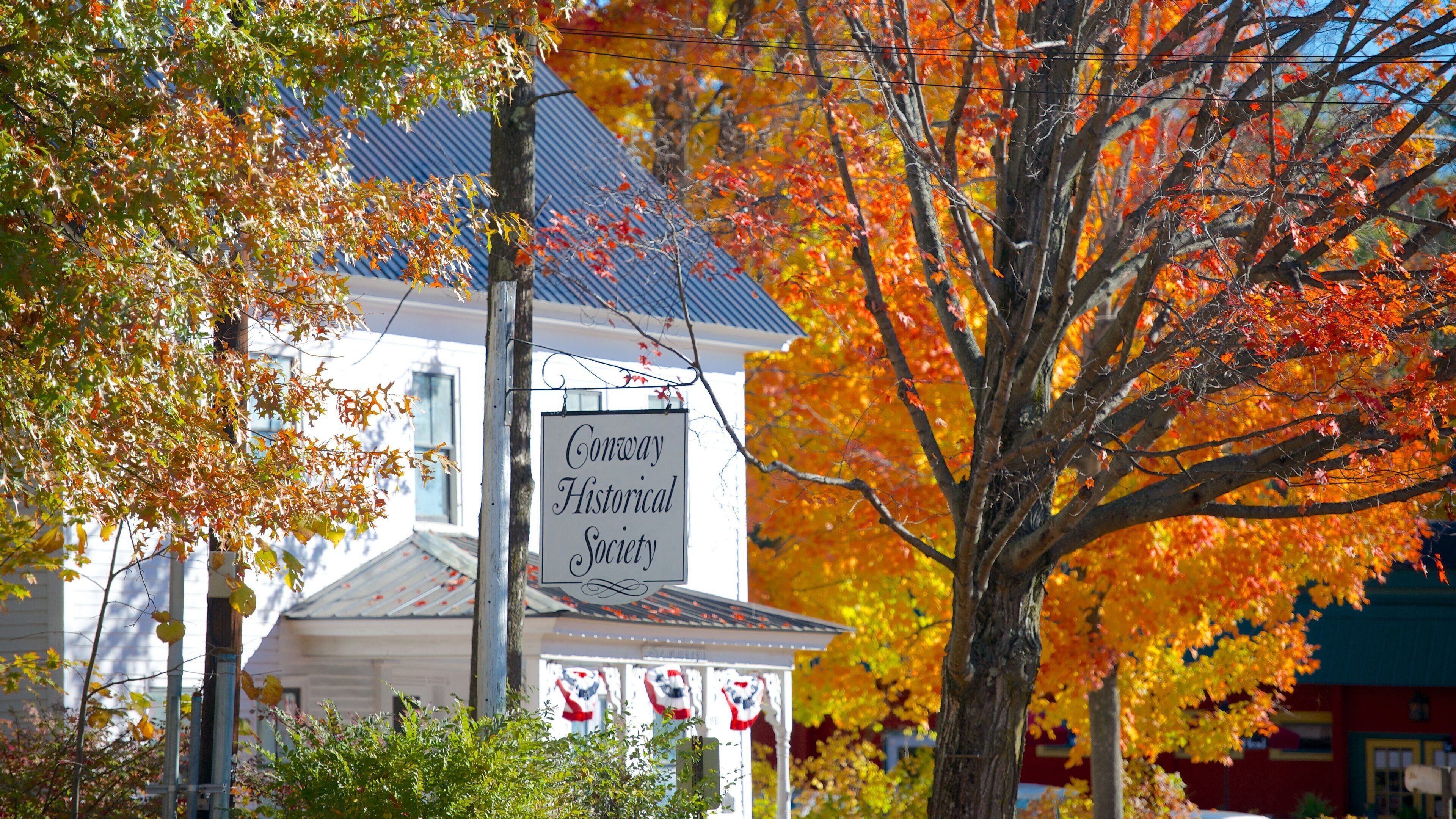 Conway ofreciendo hojas de otoño