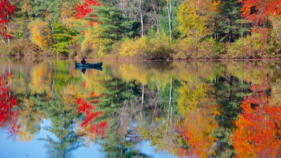 A calm lake with a person in a canoe surrounded by autumn-colored trees.