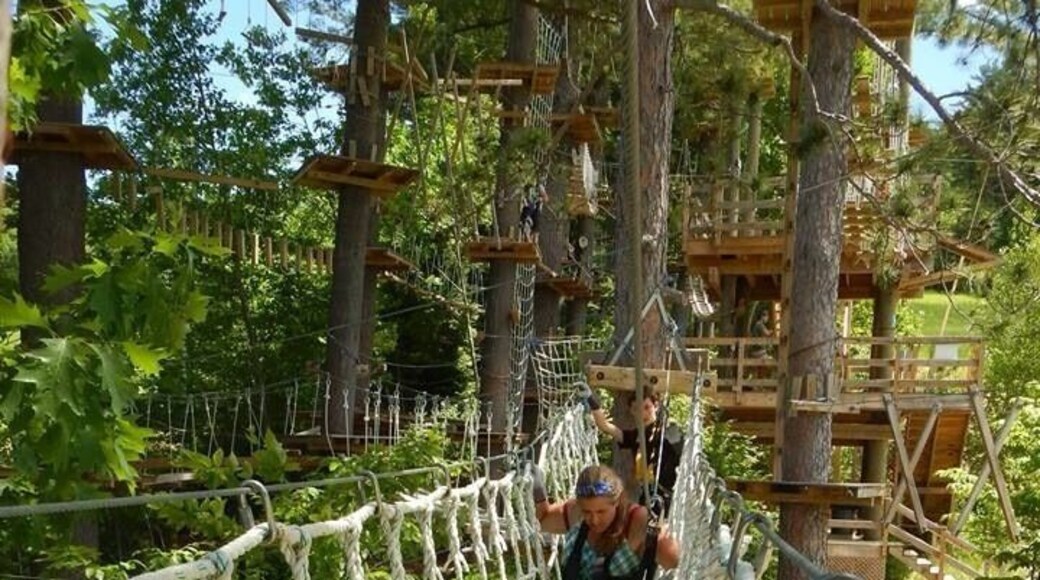 Mt Cranmore Summer Aventure Park