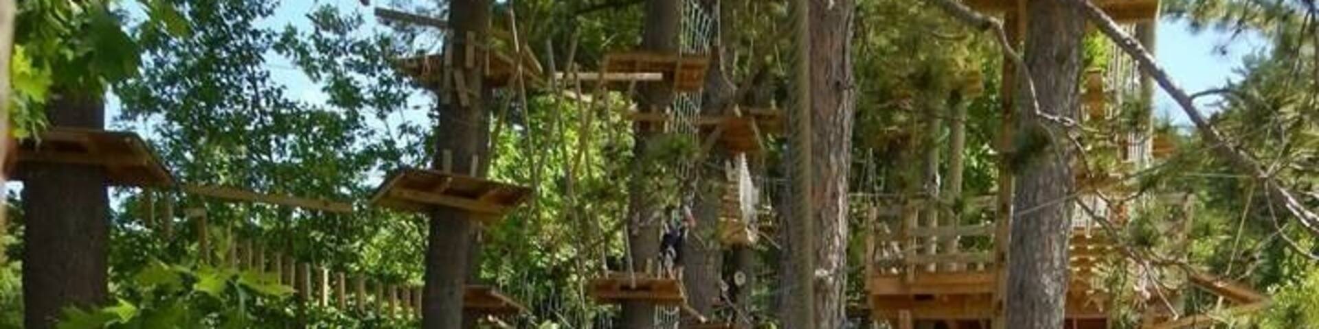 A rope bridge in a forested area with wooden platforms and trees.