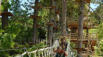 Mt Cranmore Summer Aventure Park