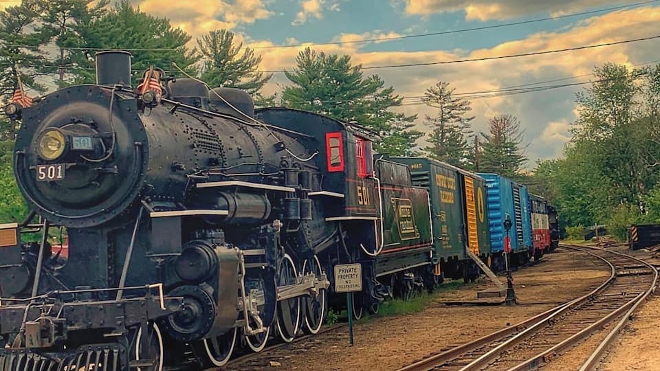 Una locomotora de vapor amb el número 501, un vagabund i alguns vagons de mercaderies sobre una via fèrria.
