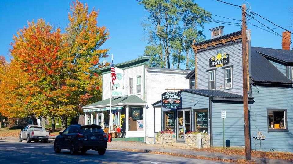 A street with a jewelry store, a white building with a green roof, and autumn-colored trees.