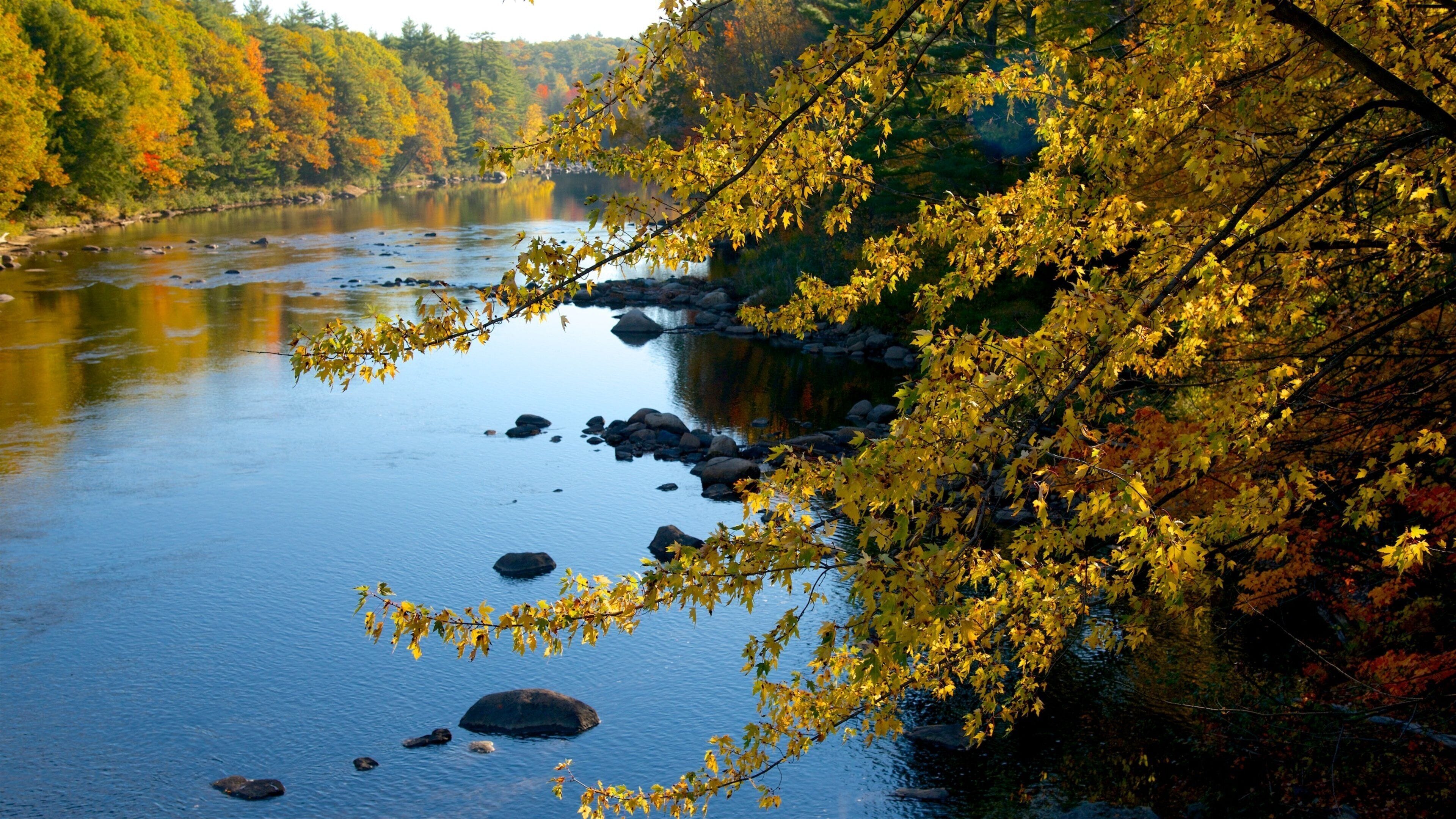 Conway which includes fall colors, a river or creek and a park