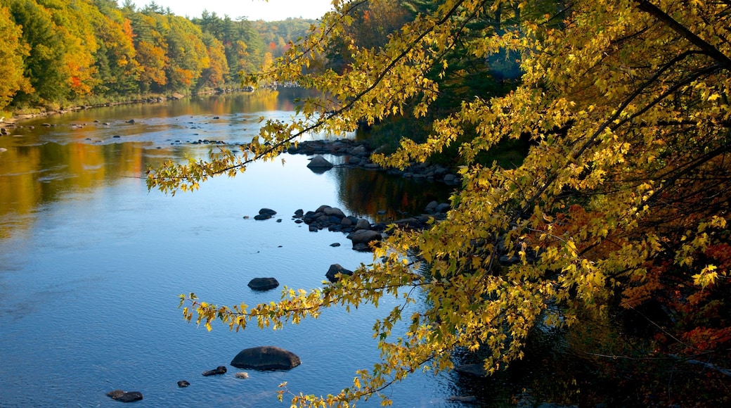 Conway qui includes une riviĂšre ou un ruisseau, un jardin et couleurs dâautomne
