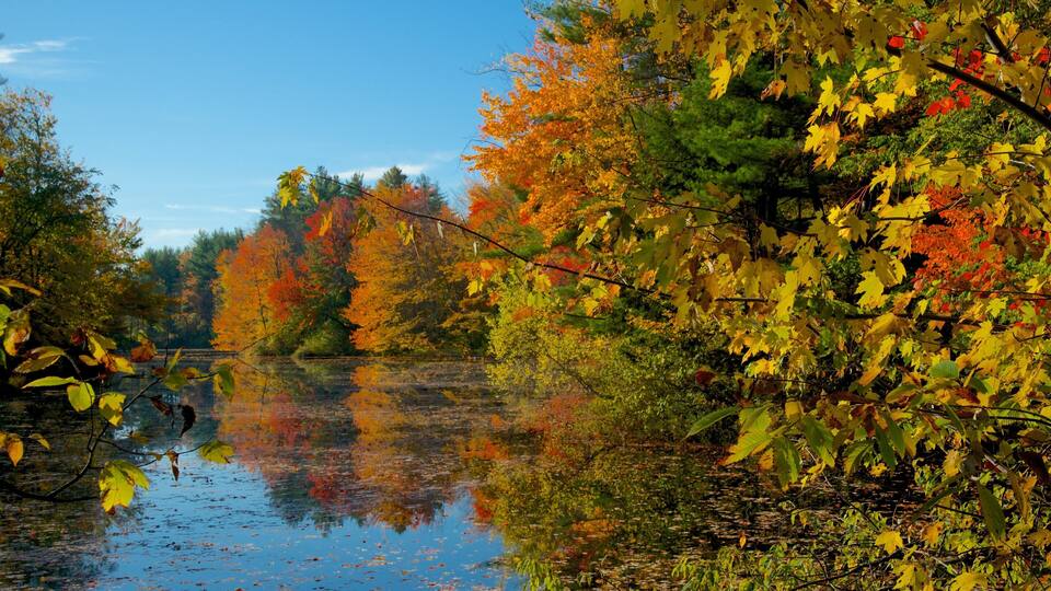 A river reflecting autumn foliage, surrounded by trees with yellow, orange, and red leaves.