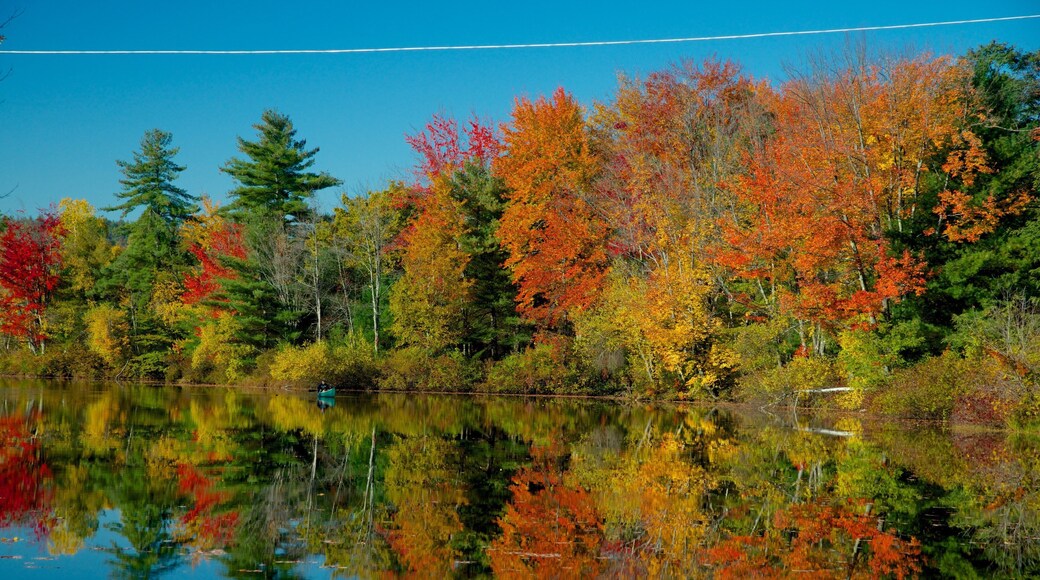 Conway que incluye un río o arroyo, un jardín y los colores del otoño