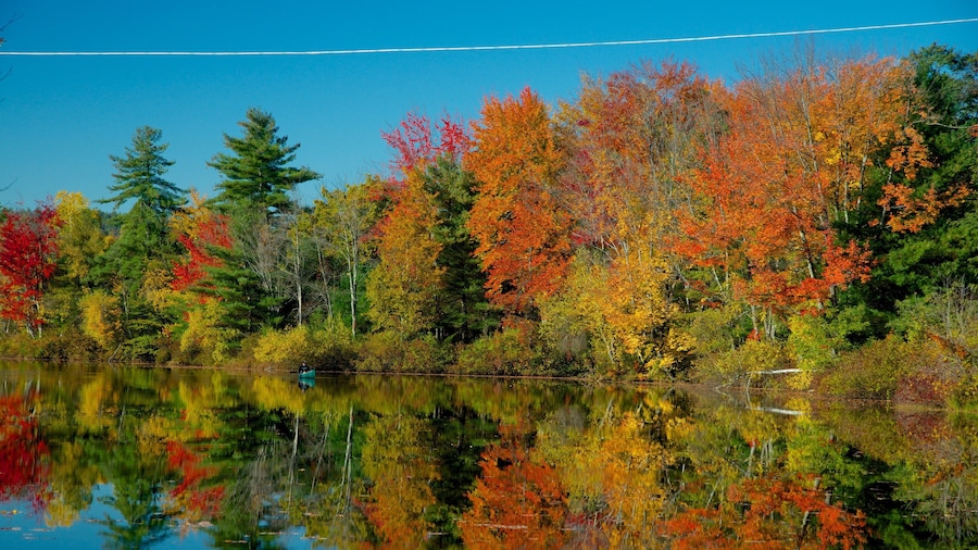 Conway featuring a garden, a river or creek and autumn leaves