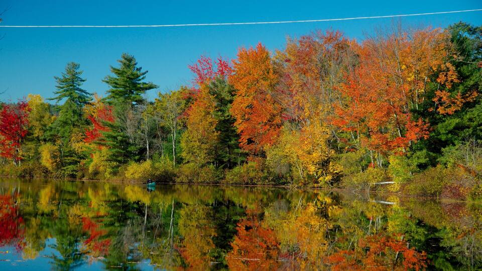 A calm lake surrounded by autumn-colored trees reflecting in the water.