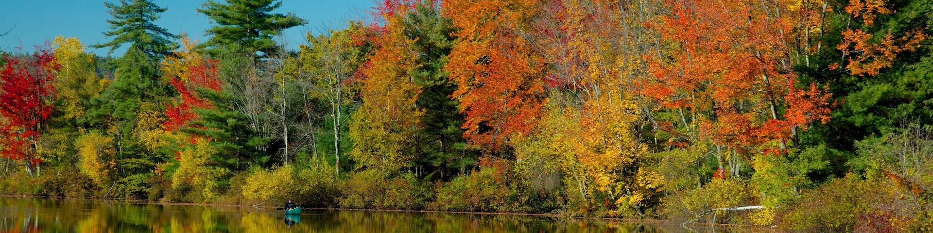 Conway featuring a garden, a river or creek and autumn leaves