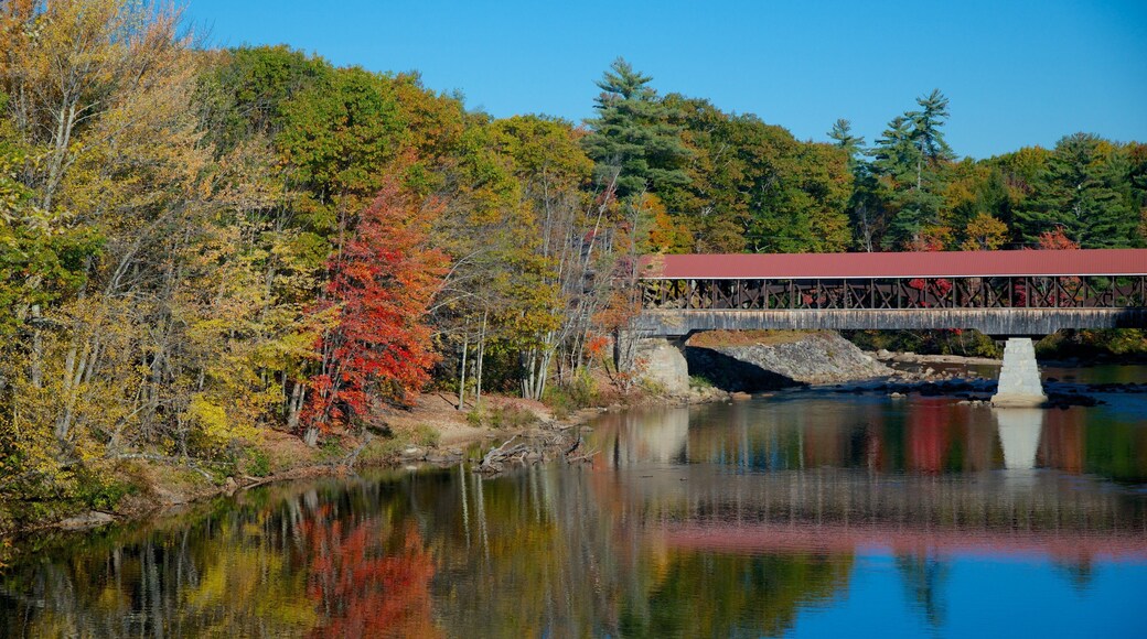 Conway showing a river or creek, autumn leaves and a bridge