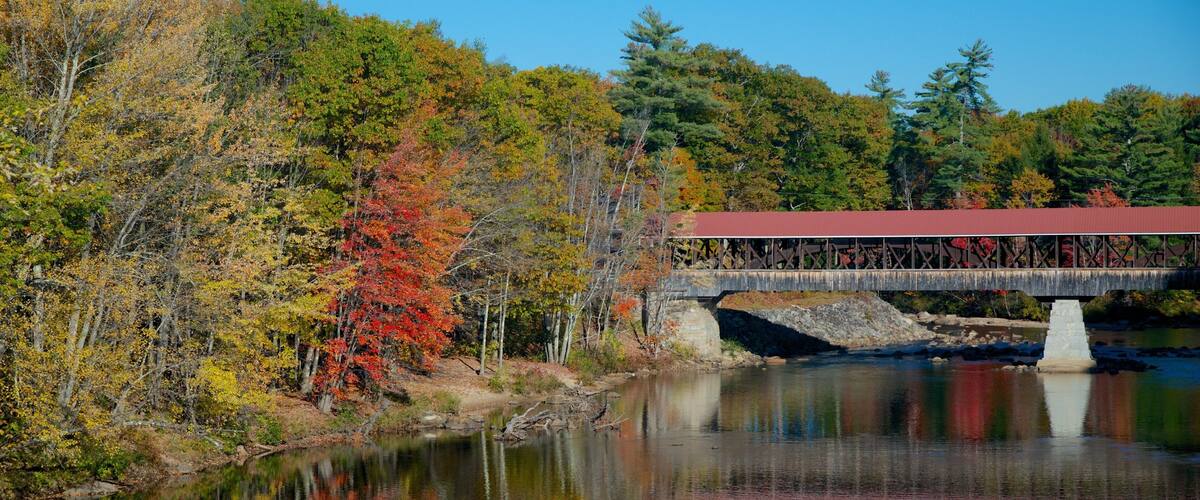 Conway showing a river or creek, autumn leaves and a bridge