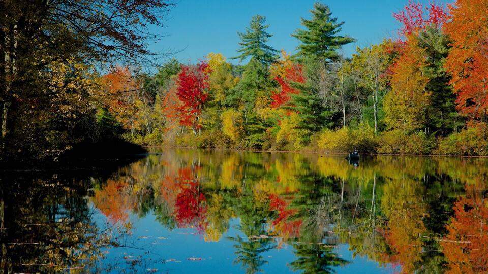 A calm lake surrounded by autumn-colored trees reflecting in the water.