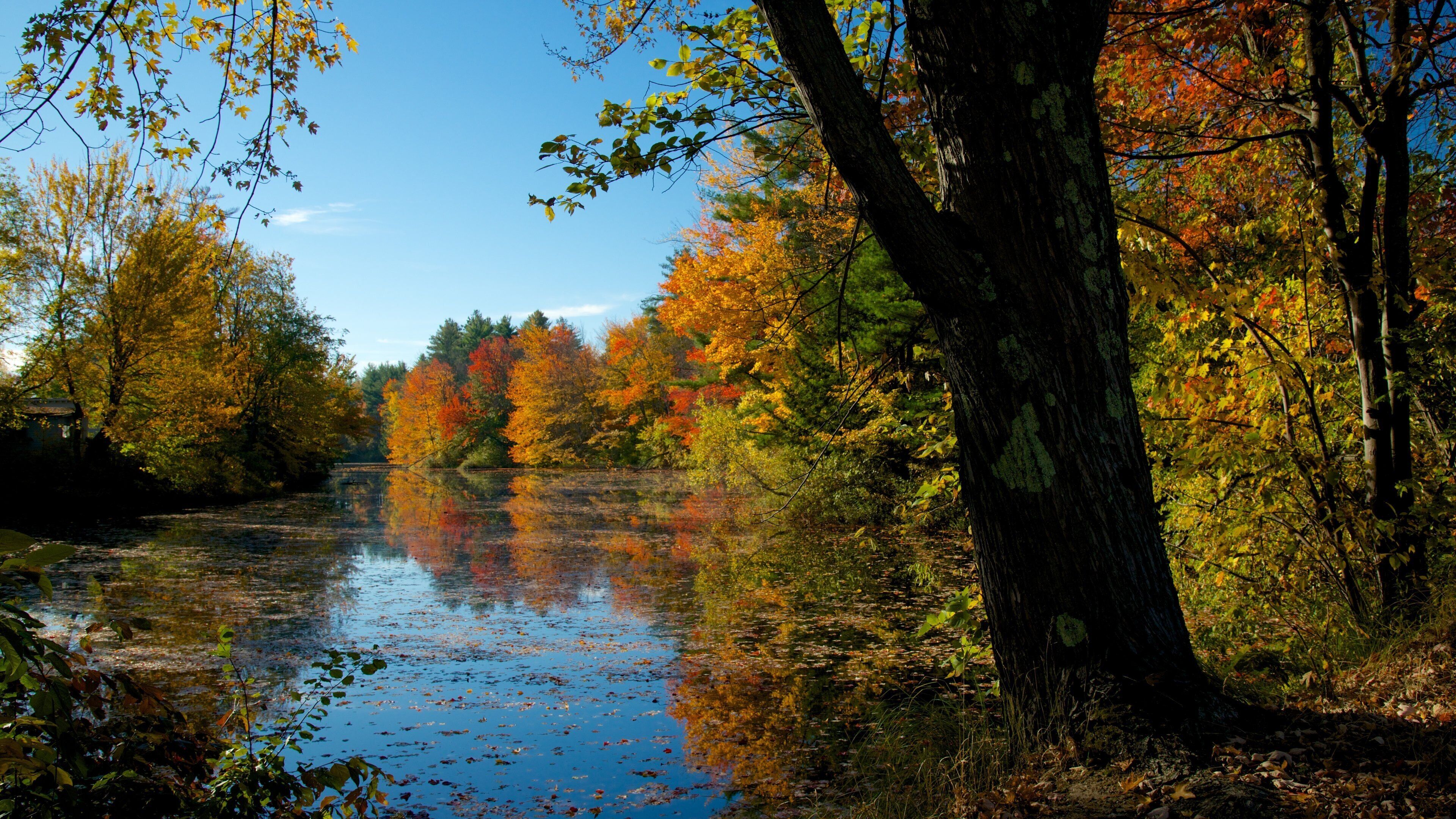 A calm river reflecting autumn trees.