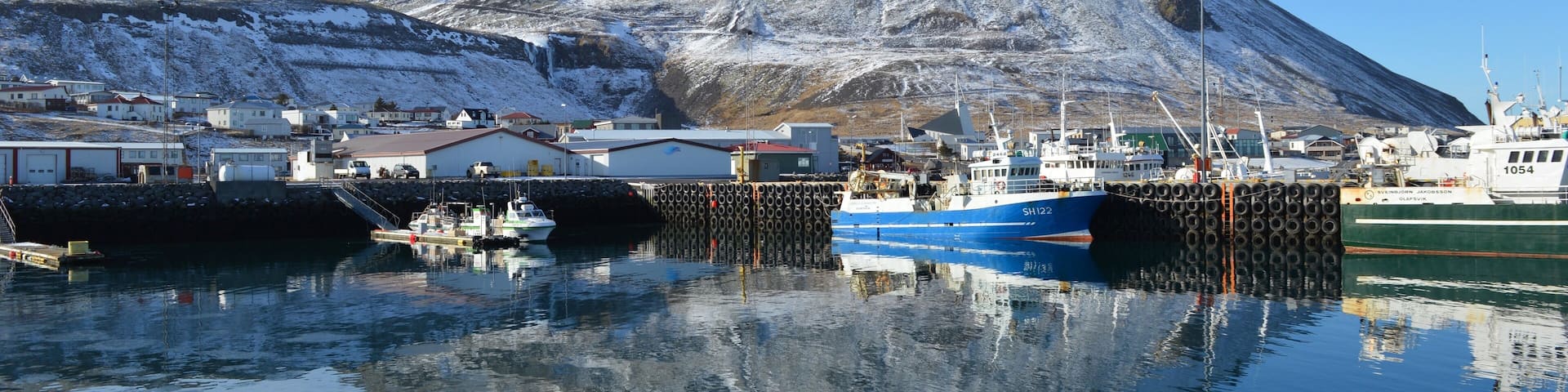 Olafsvik Harbour offering Orca whale watching tours