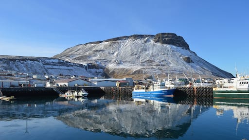 Olafsvik Harbour offering Orca whale watching tours