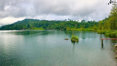 “the beauty of nature is the nature of beauty” #lake #lakedanao #green #trees #mountains