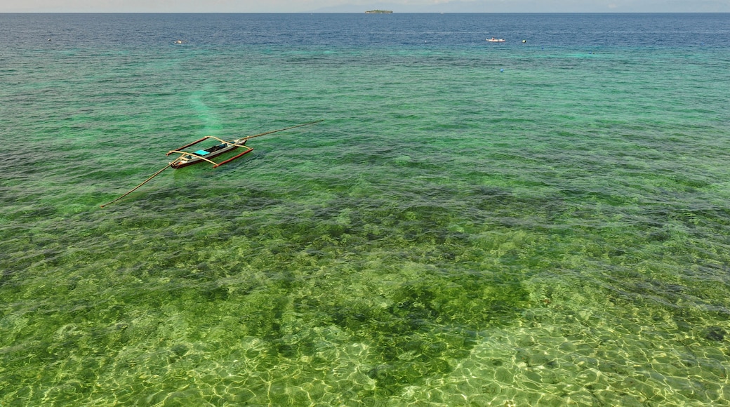 Philippines, Cebu, Moalboal, transparent seashore