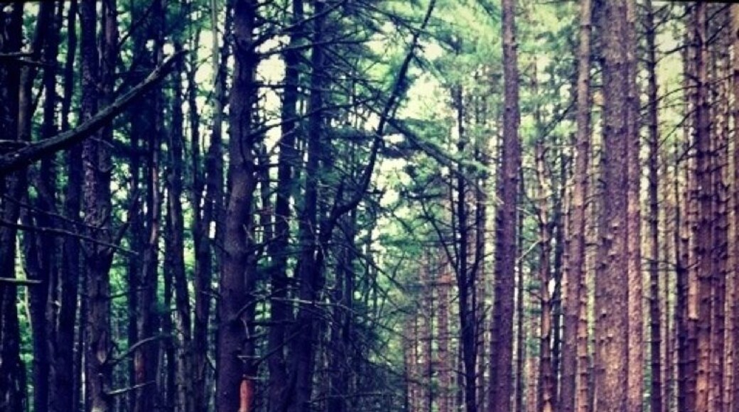 Great hiking trail in Pennsylvania :)