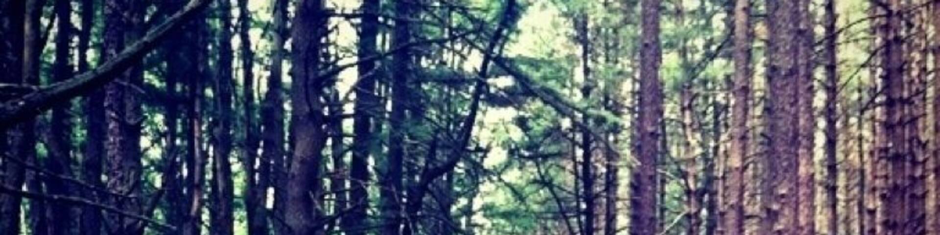 Great hiking trail in Pennsylvania :)