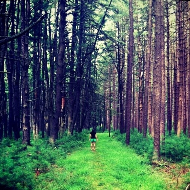 Great hiking trail in Pennsylvania :)