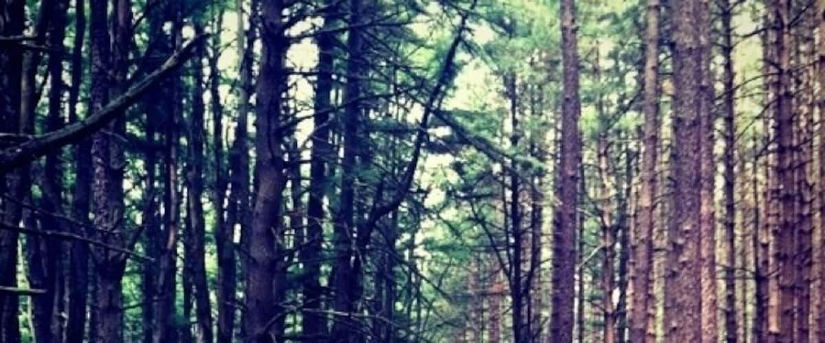 Great hiking trail in Pennsylvania :)