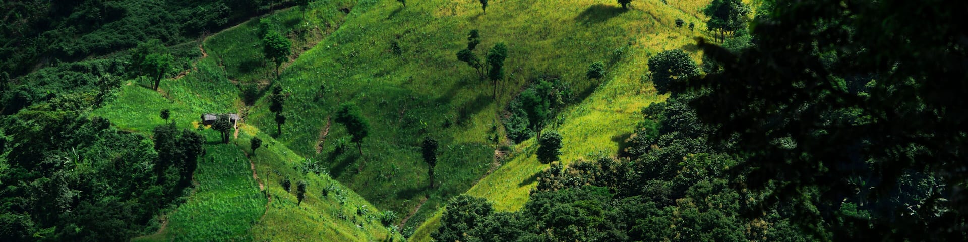 Scenic view of Jhum cultivation on the green hills of Bandarban, Bangladesh. Lush Green Mountain Landscape with Cultivated Slopes. Vibrant Green Terraced Hills and Forested Mountains Landscape